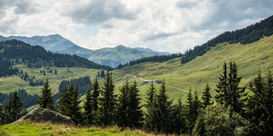 Single wandelvakantie Niederau