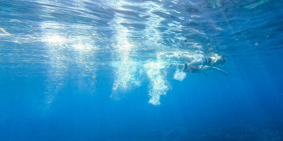 Snorkelen op Elba, Italië