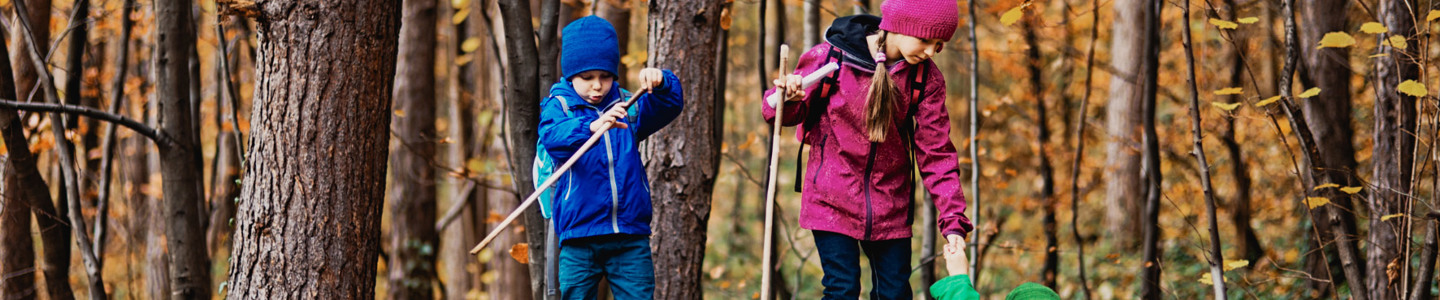 Kinderen spelen in het oranje bos in de herfst