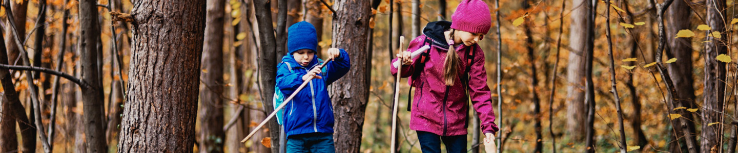 Kinderen spelen in het oranje bos in de herfst