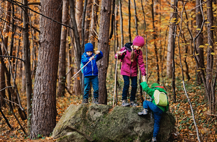 Kinderen spelen in het oranje bos in de herfst