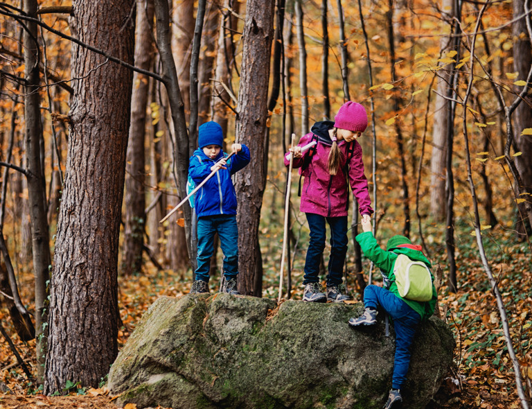 Kinderen spelen in het oranje bos in de herfst