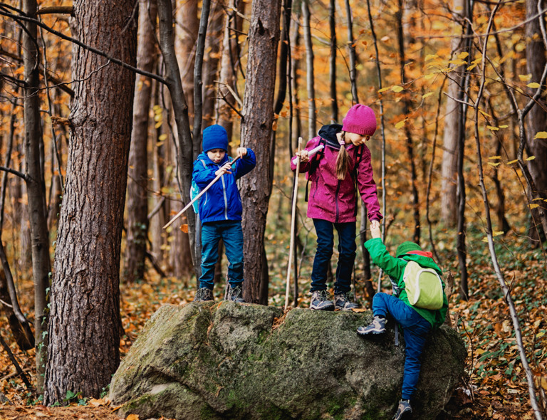 Kinderen spelen in het oranje bos in de herfst