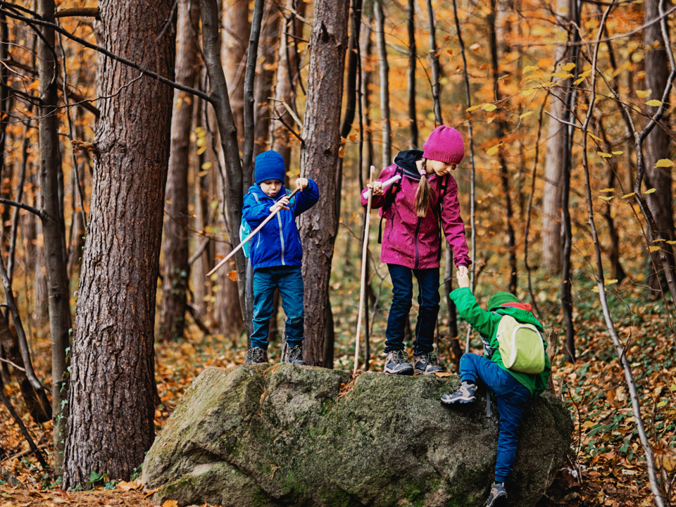 Kinderen spelen in het oranje bos in de herfst