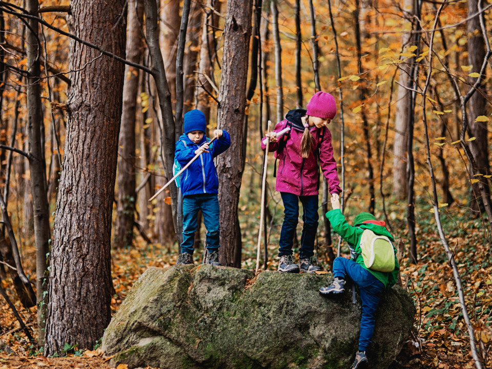 Kinderen spelen in het oranje bos in de herfst