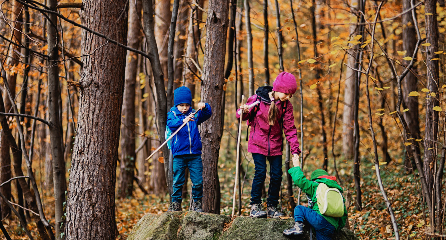 Kinderen spelen in het oranje bos in de herfst