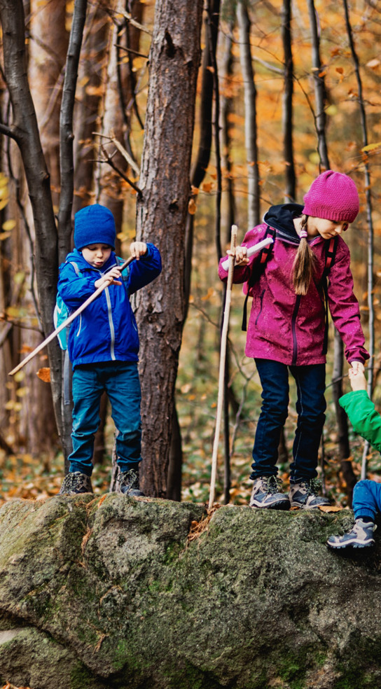 Kinderen spelen in het oranje bos in de herfst