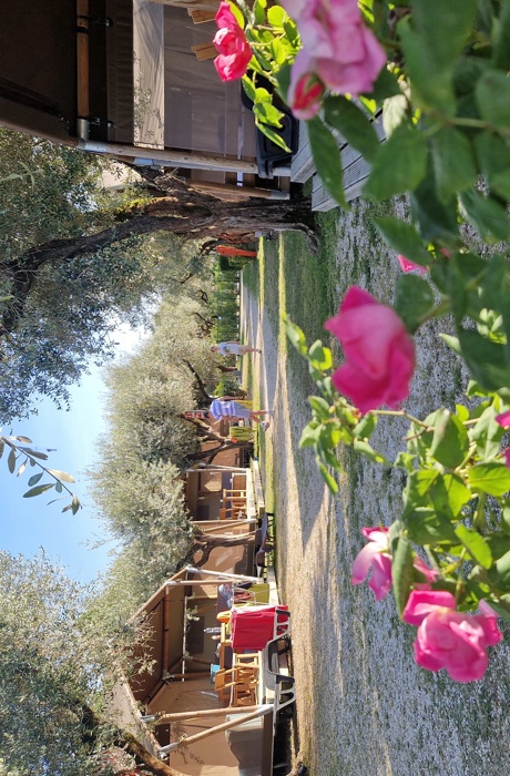 Uitzicht op de safaritenten op Camping della Colombaia aan het Gardameer
