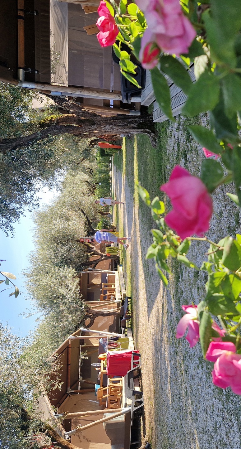 Uitzicht op de safaritenten op Camping della Colombaia aan het Gardameer
